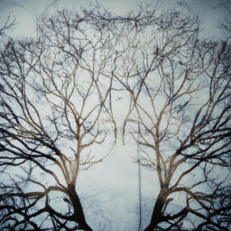 surrealist moody abstract